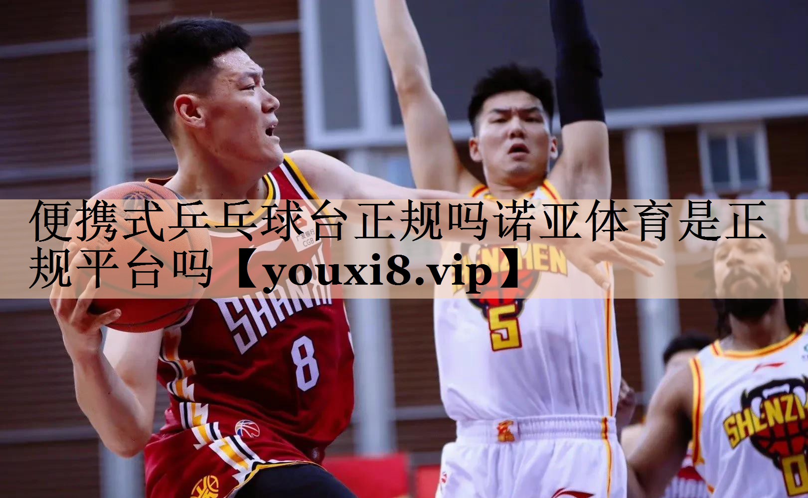 便携式乒乓球台正规吗诺亚体育是正规平台吗