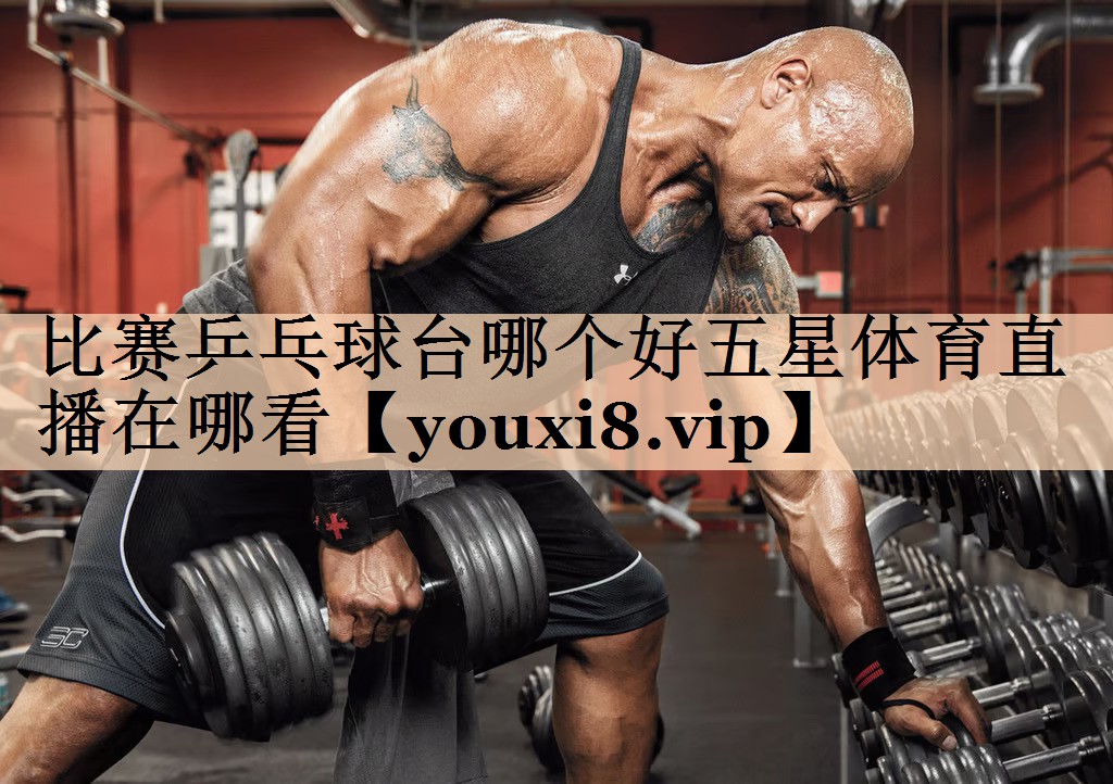 比赛乒乓球台哪个好五星体育直播在哪看
