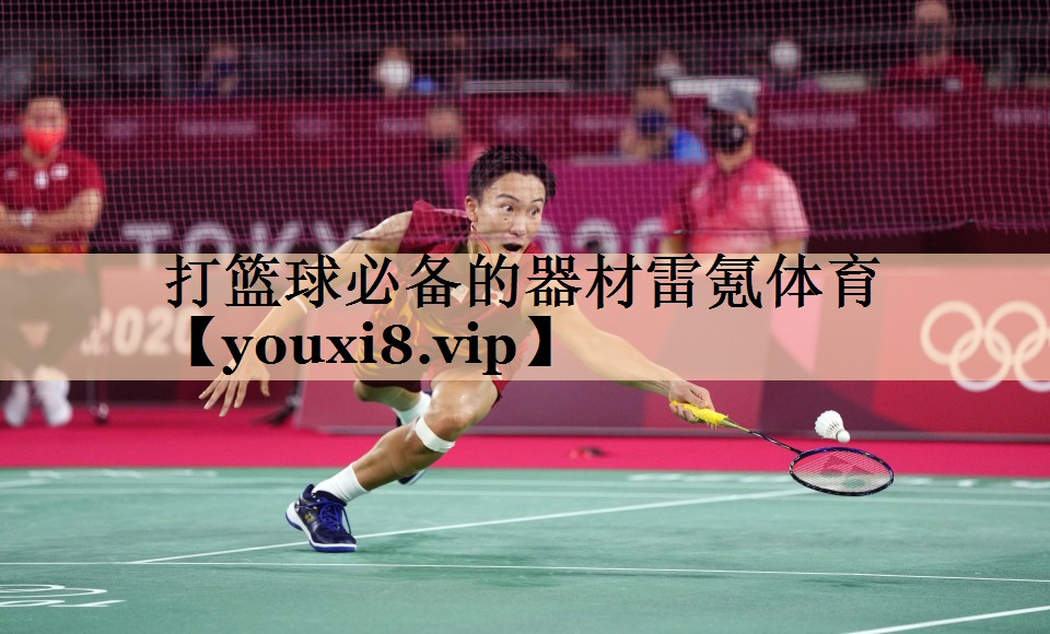 <strong>打篮球必备的器材雷氪体育</strong>