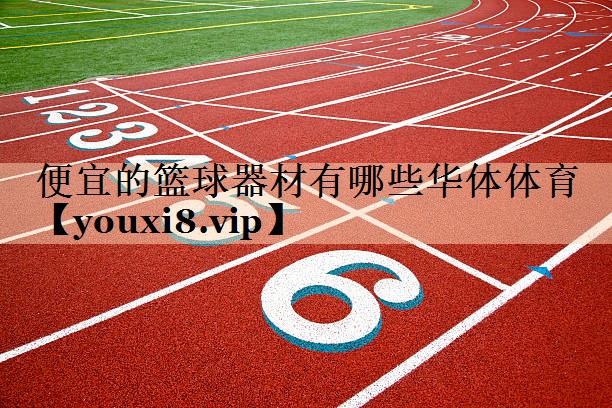 便宜的篮球器材有哪些华体体育