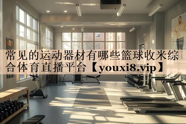 <strong>常见的运动器材有哪些篮球收米综合体育直播平台</strong>