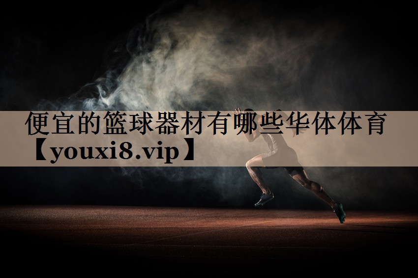 便宜的篮球器材有哪些华体体育
