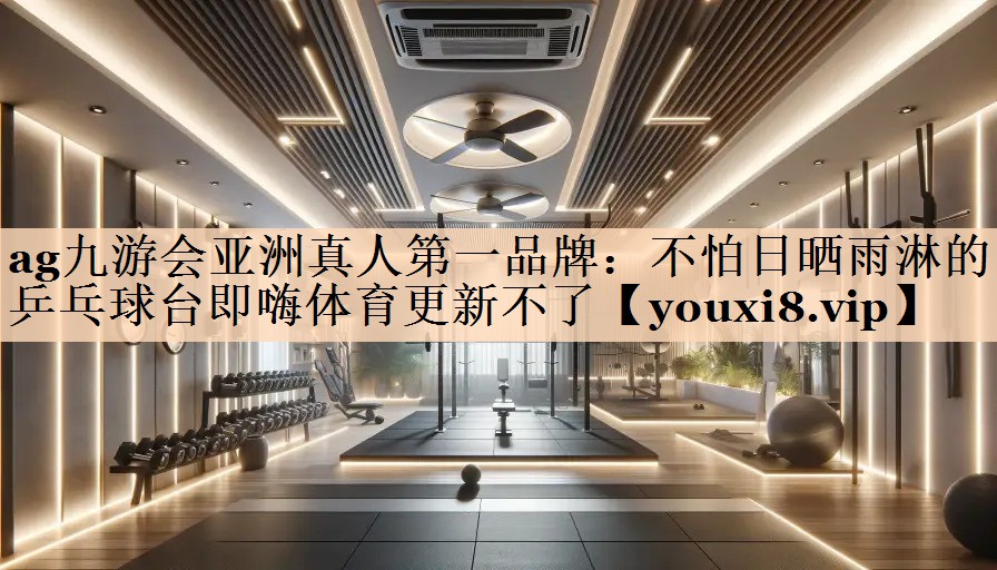 ag九游会亚洲真人第一品牌：不怕日晒雨淋的乒乓球台即嗨体育更新不了