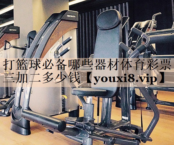 打篮球必备哪些器材体育彩票三加二多少钱