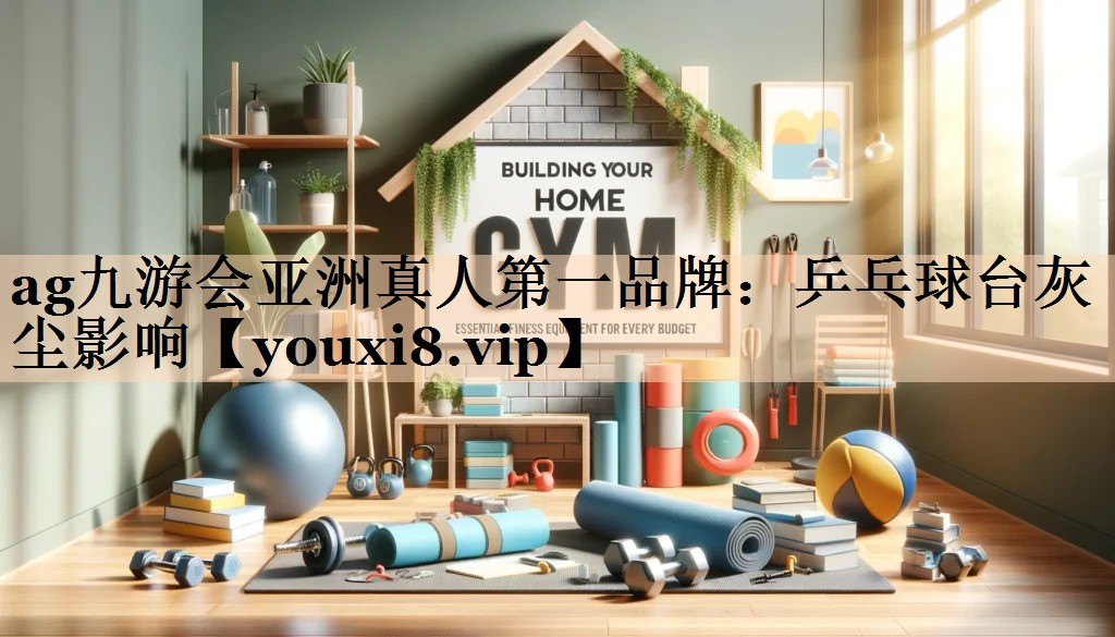 ag九游会亚洲真人第一品牌：乒乓球台灰尘影响