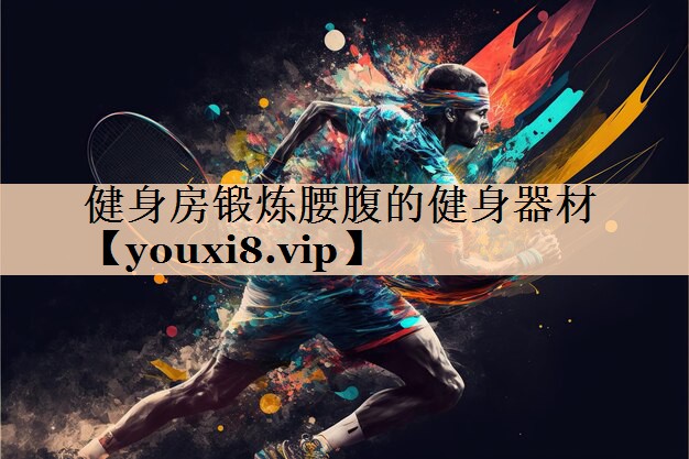 健身房锻炼腰腹的健身器材