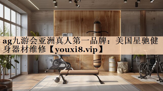 美国星驰健身器材维修