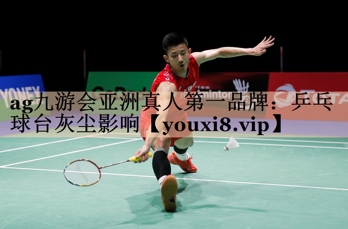 乒乓球台灰尘影响